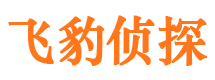 复兴侦探公司